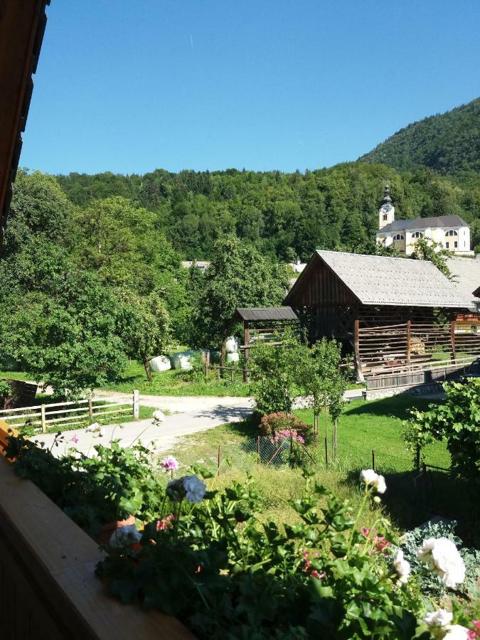 Apartma Bremec-Studio Bohinj Exterior photo